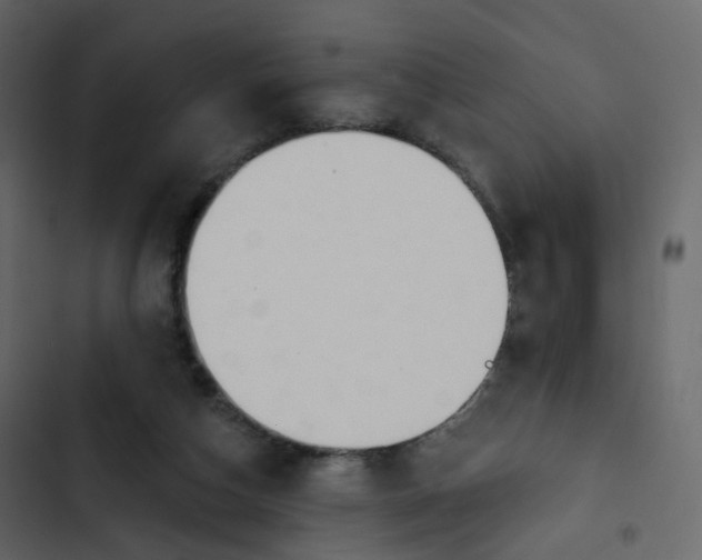 X0000102870162200809021456