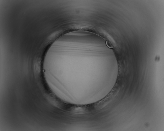 X0000102870163200809021456