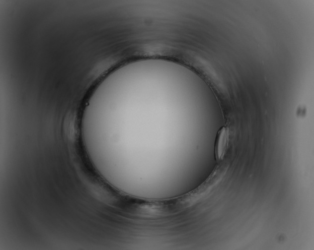 X0000102870164200809021456