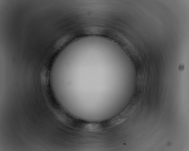 X0000102870168200809021456