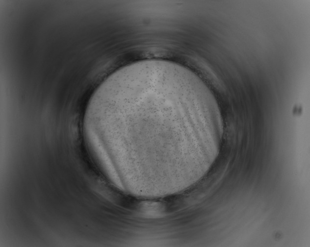 X0000102870169200809021456