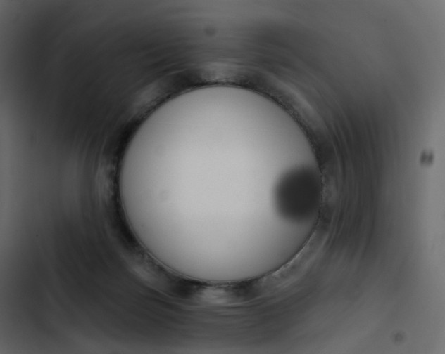 X0000102870171200809021456