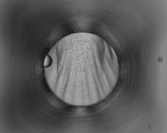 X0000102870173200809021456