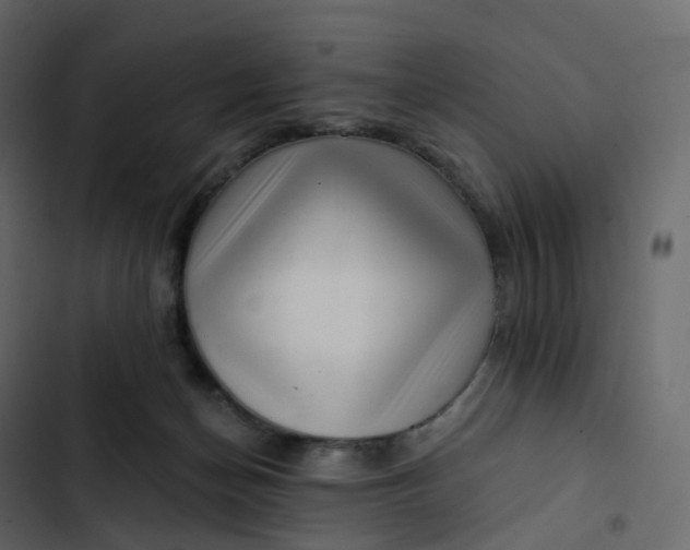 X0000102870174200809021456