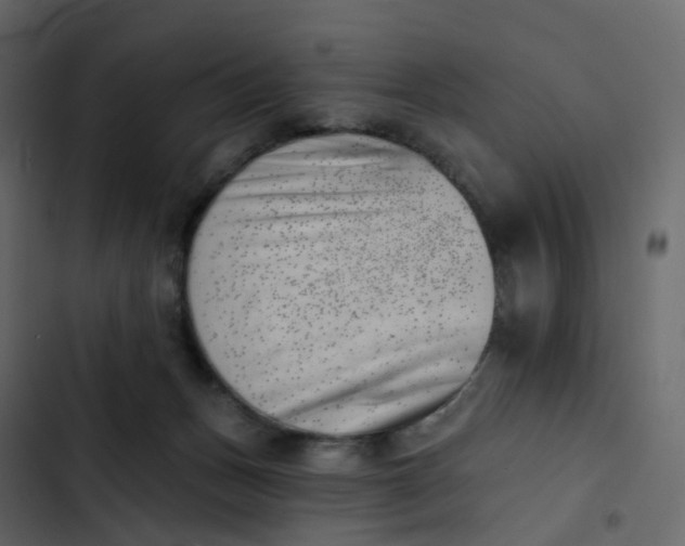 X0000102870175200809021456