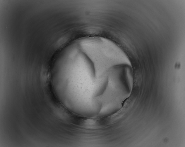 X0000102870176200809021456