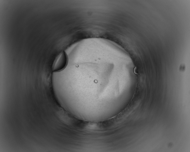 X0000102870177200809021456