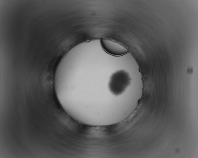 X0000102870179200809021456