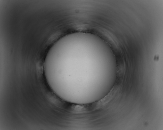 X0000102870180200809021456