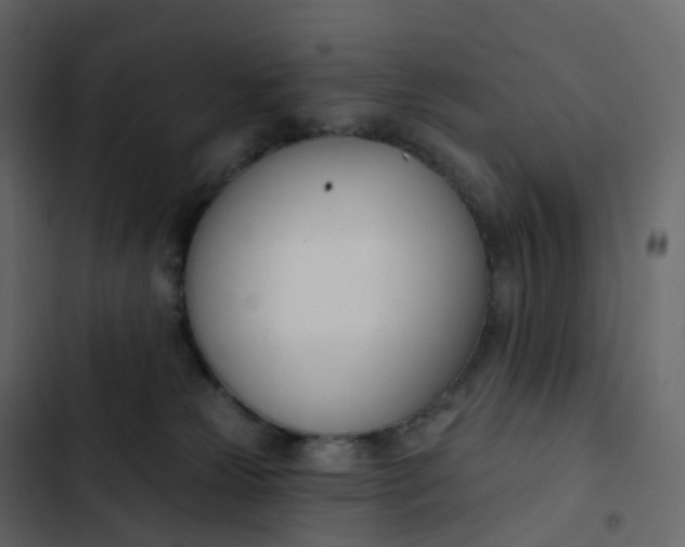 X0000102870181200809021456