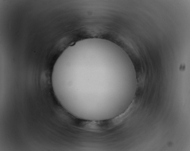 X0000102870182200809021456