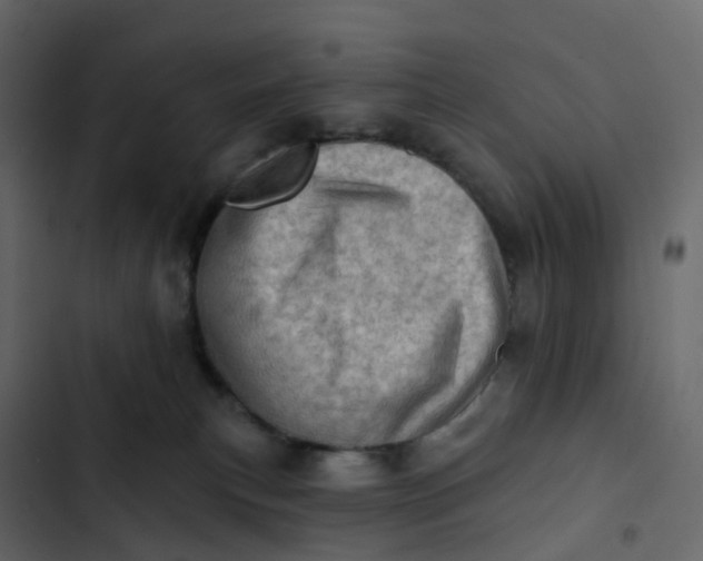 X0000102870183200809021456