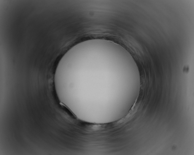 X0000102870184200809021456