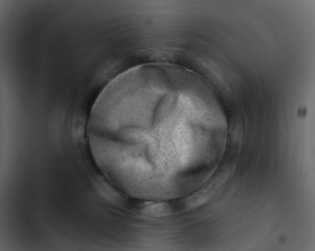 X0000102870185200809021456