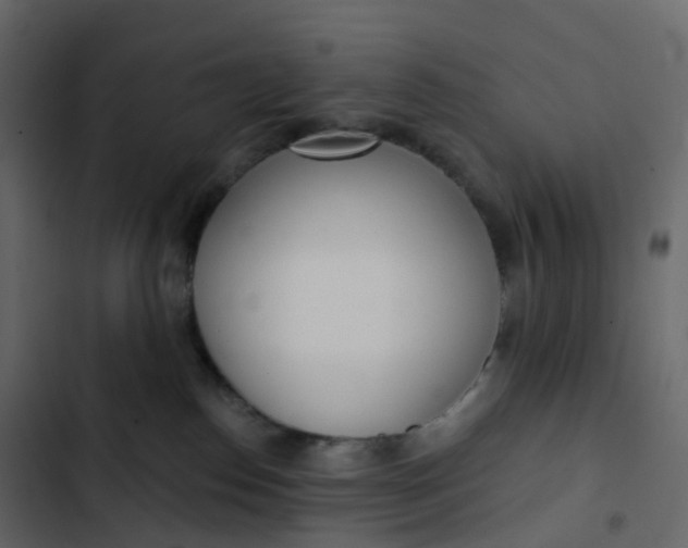 X0000102870186200809021456