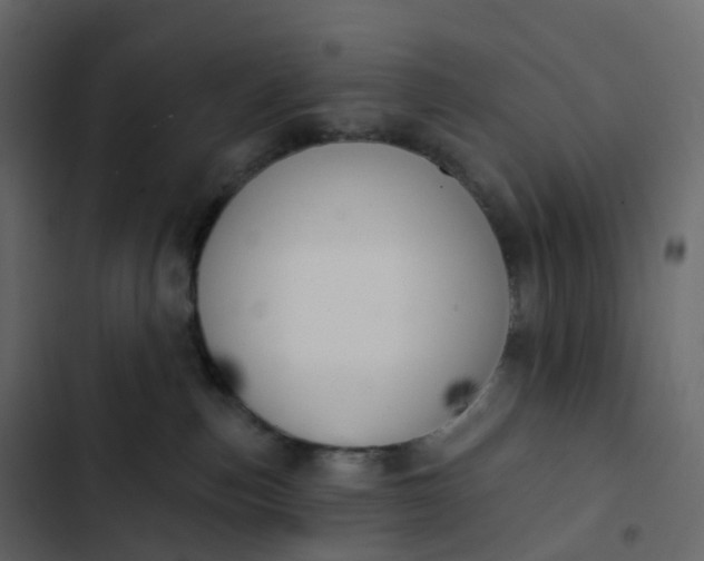 X0000102870187200809021456