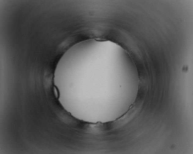 X0000102870188200809021456