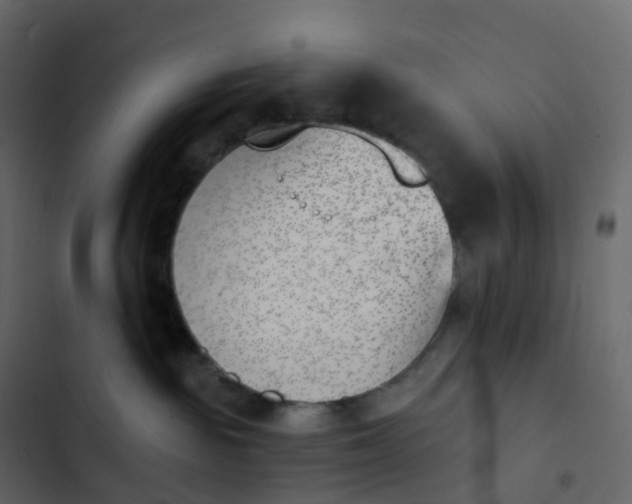 X0000102870189200809021456