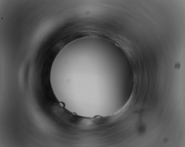 X0000102870190200809021456