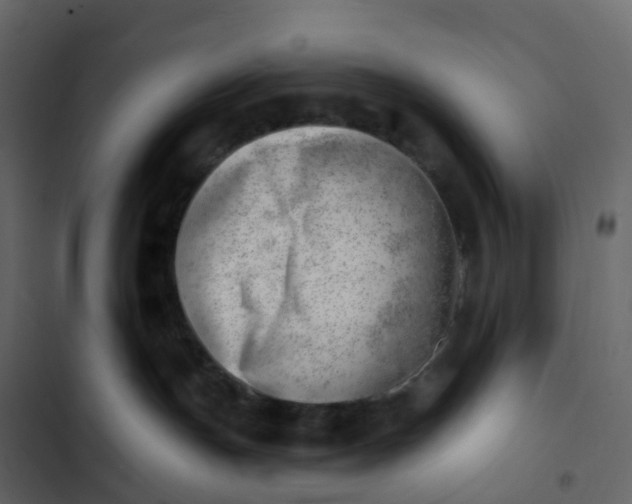 X0000102870191200809021456