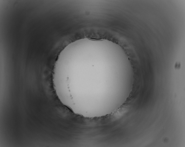 X0000102870192200809021456