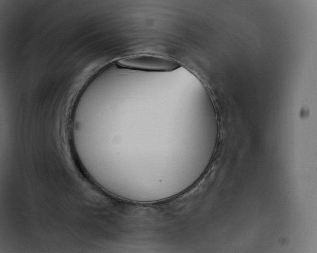 X0000102870193200809021455