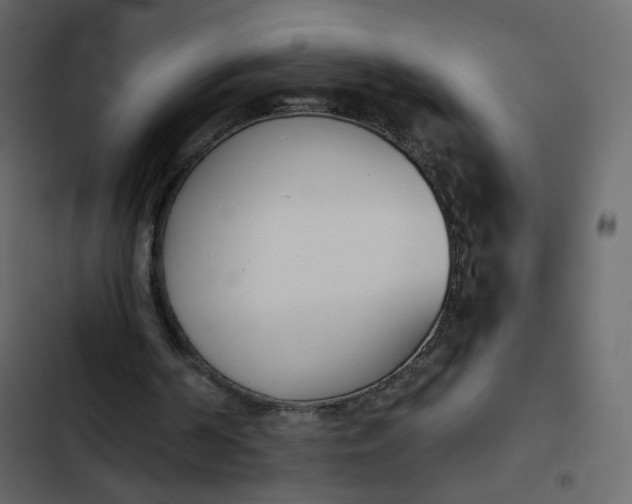 X0000102870194200809021455