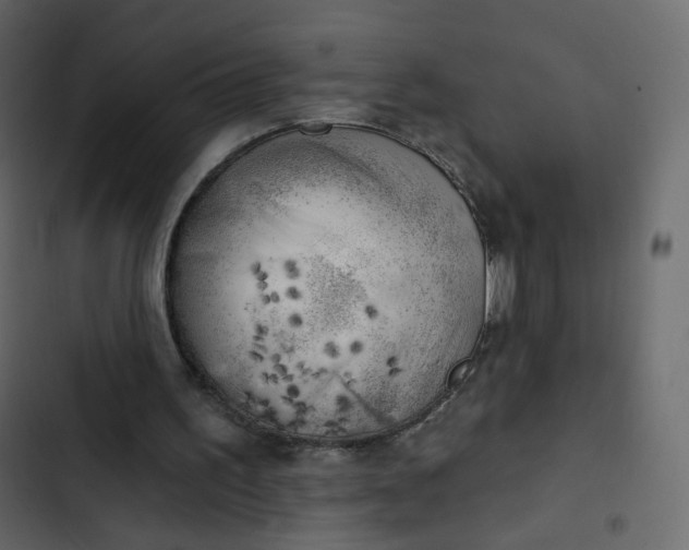 X0000102870195200809021455