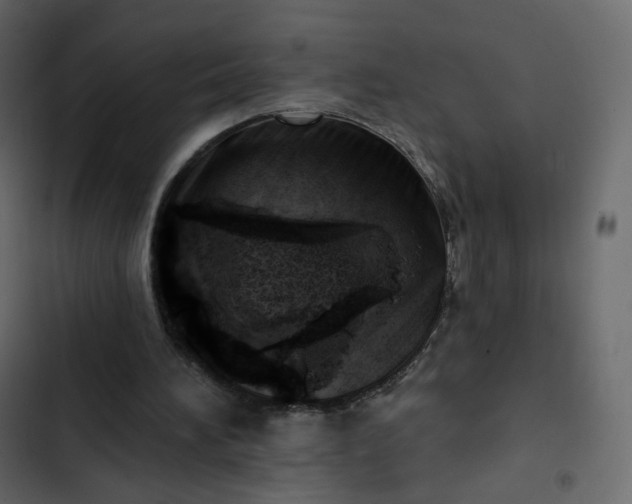 X0000102870196200809021455