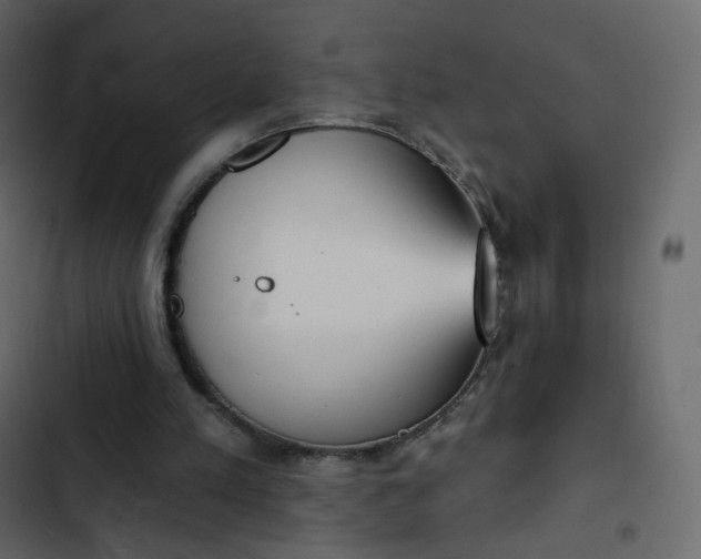 X0000102870197200809021455