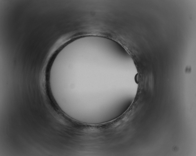 X0000102870198200809021455