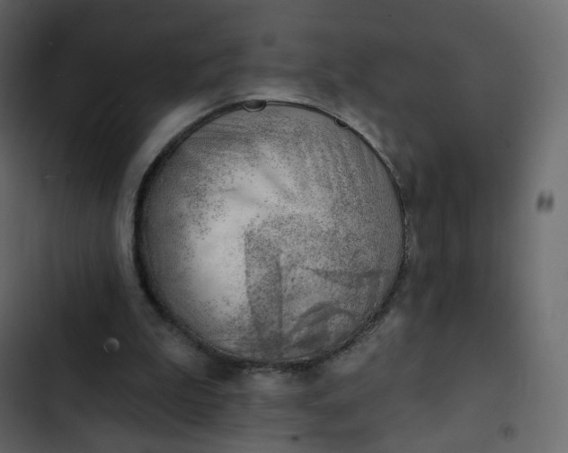 X0000102870199200809021455