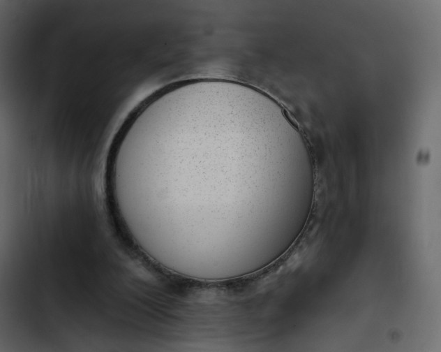 X0000102870200200809021455