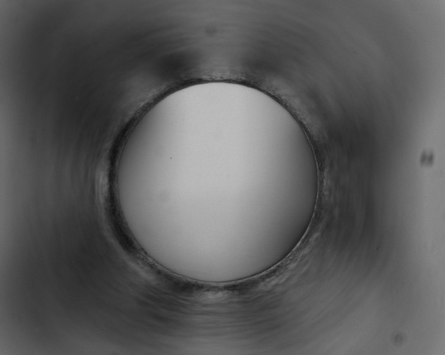 X0000102870202200809021455