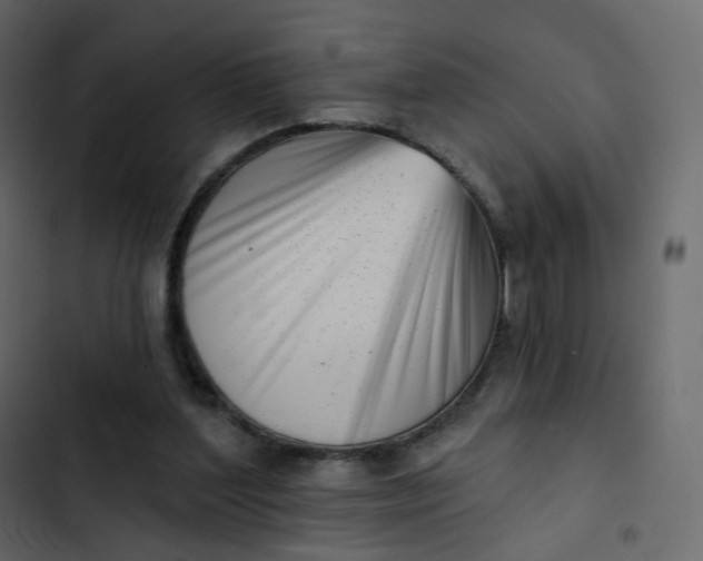 X0000102870204200809021455