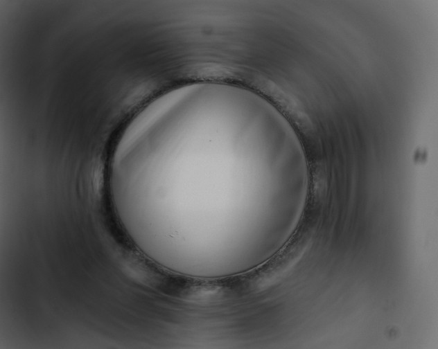 X0000102870206200809021455