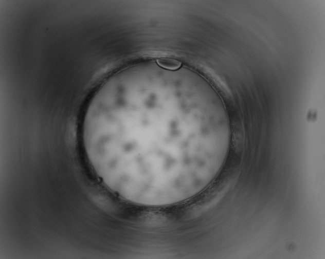 X0000102870207200809021455