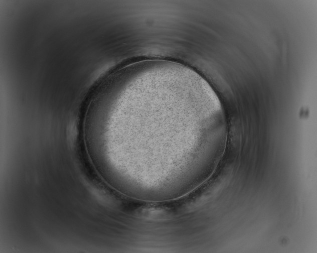 X0000102870208200809021455