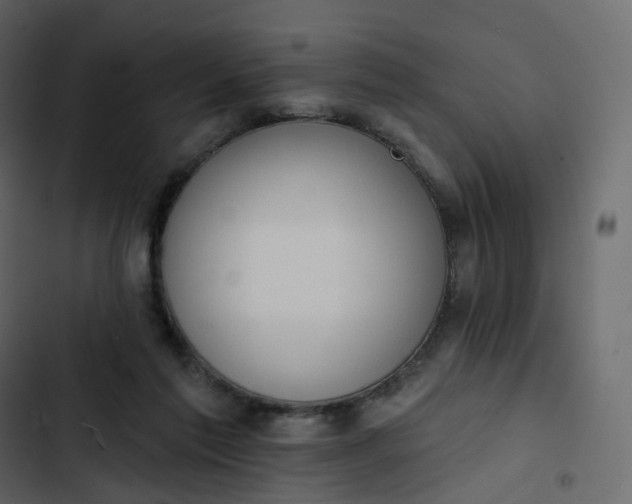 X0000102870213200809021455