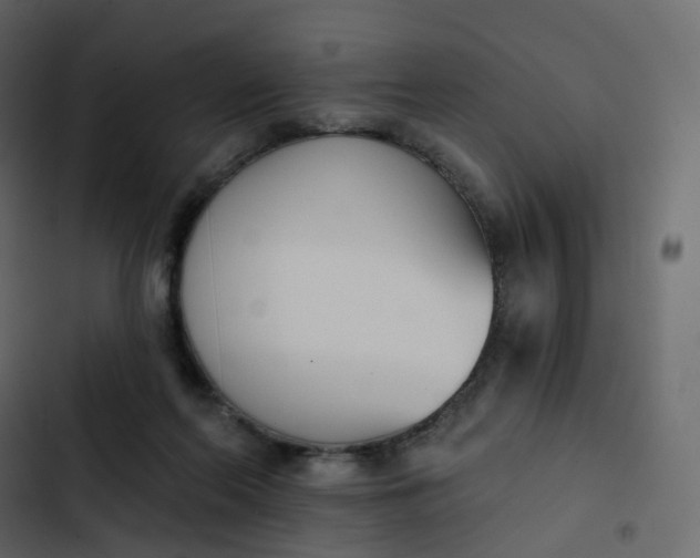 X0000102870214200809021455