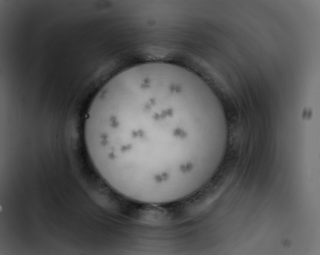 X0000102870215200809021455