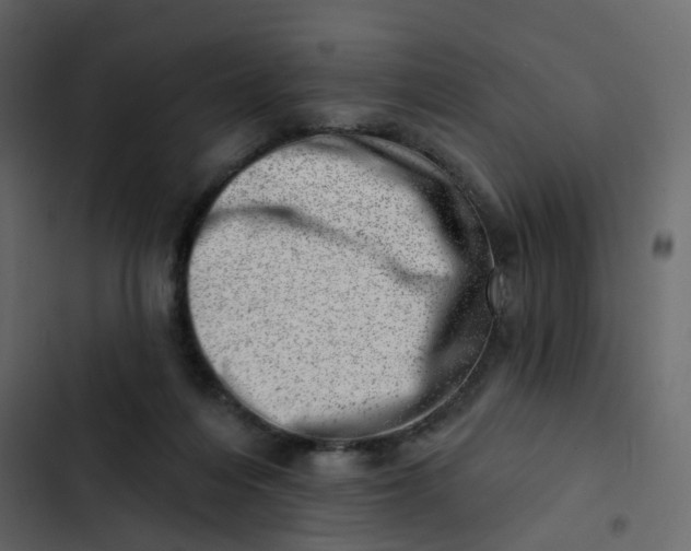 X0000102870216200809021455