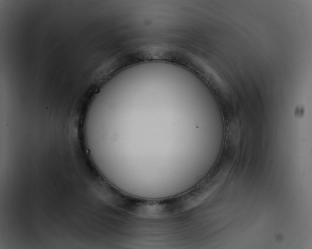 X0000102870217200809021455