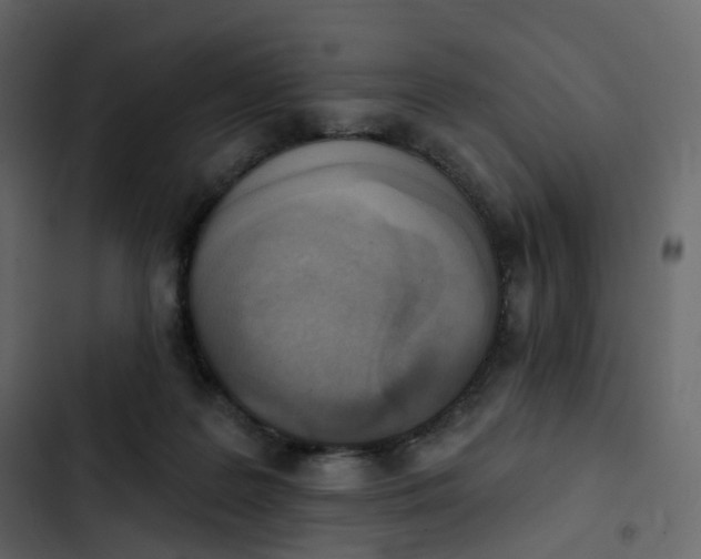 X0000102870219200809021455