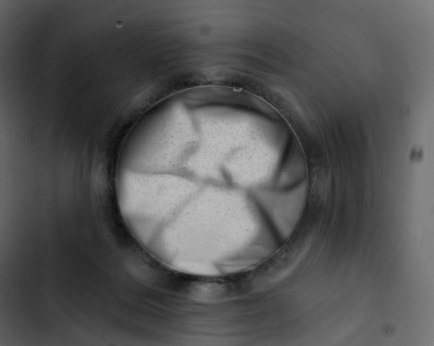 X0000102870220200809021455