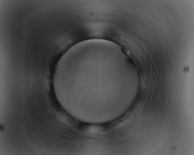 X0000102870223200809021455