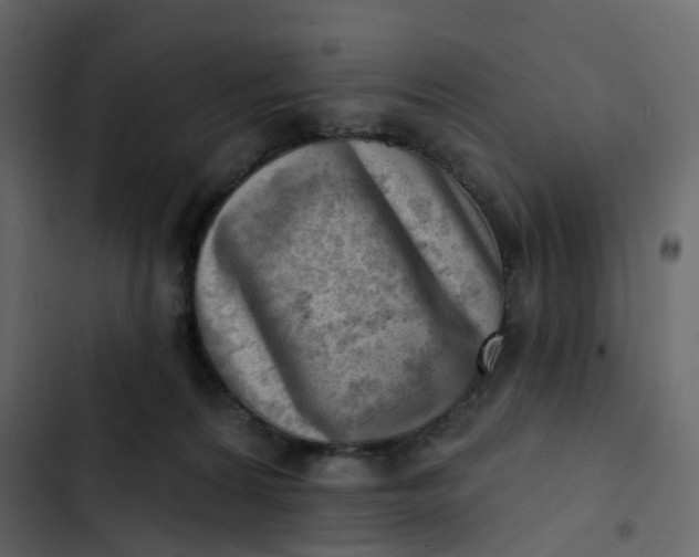 X0000102870224200809021455