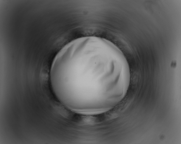 X0000102870226200809021455