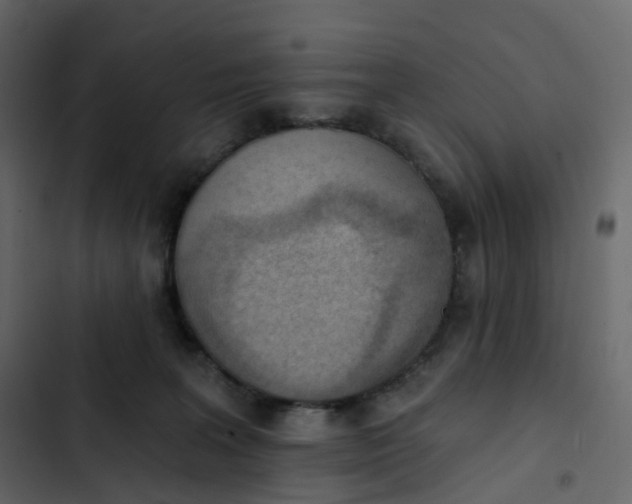 X0000102870227200809021455