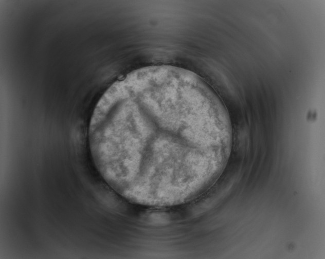 X0000102870228200809021455